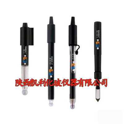 實(shí)驗(yàn)室pH復(fù)合電極 實(shí)驗(yàn)室pH復(fù)合電極